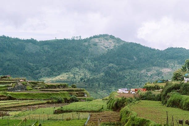 Aerial view of Poombarai village